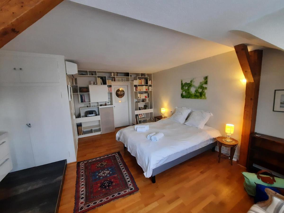 145M² City Center 4 Bedrooms View Of The Cathedral 스트라스부르 외부 사진